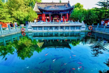 章丘百脉泉公园 AAAA